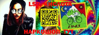 крисы Краснодар