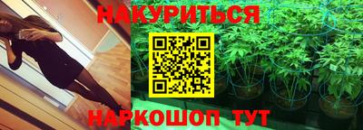 крисы Краснодар