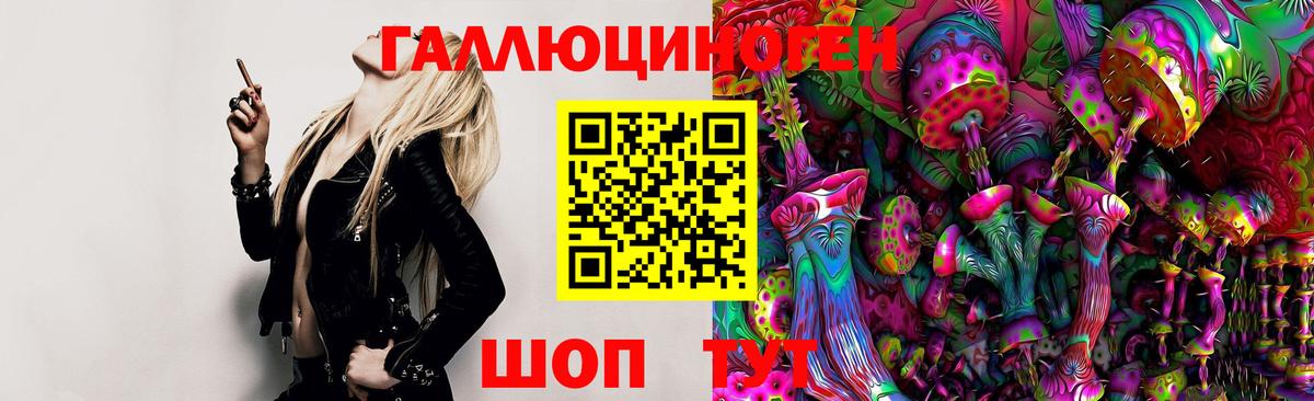 Псилоцибиновые грибы Magic Shrooms  Вход с VPN  купить наркоту  Канаш 